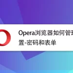 如何在Opera浏览器中管理密码？